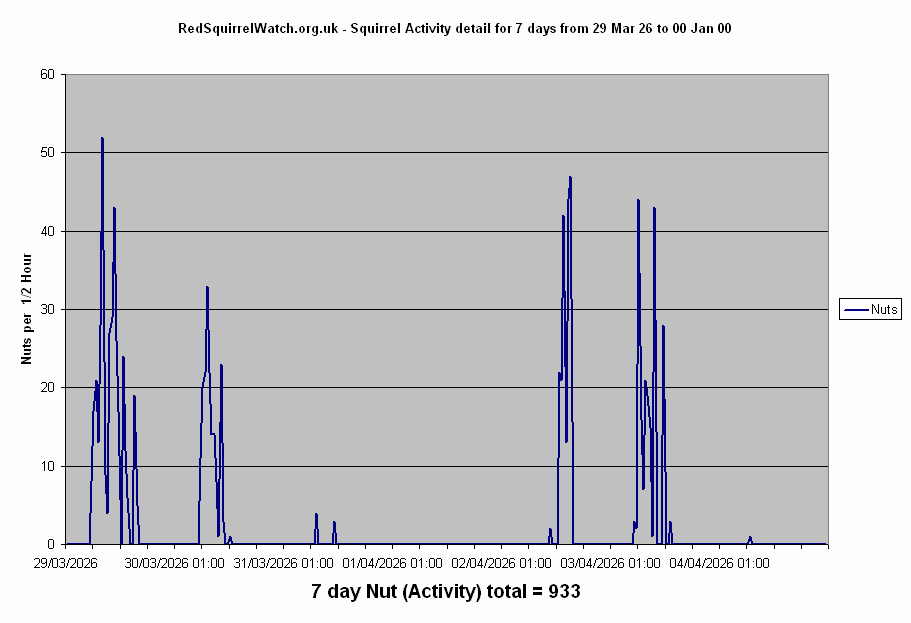 Click to view Activity Detail chart full-size