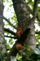 Click to view full-size