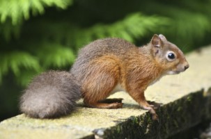 Click to view full-size